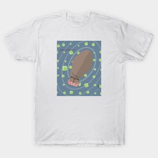 Minimal Zoo Art Series | A to Z  | Hippo T-Shirt